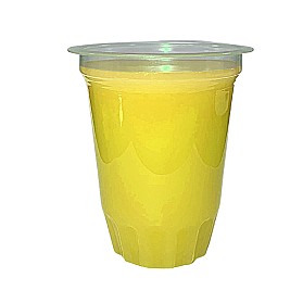 CUP BELIMBING 180 ML